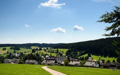 Jahresrückblick 2020