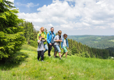 Schneckenwanderung