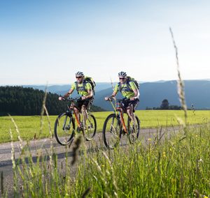 Rundtour um den Rohrhardsberg