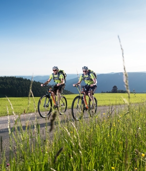 Rundtour um den Rohrhardsberg