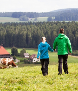 Gutenrundweg