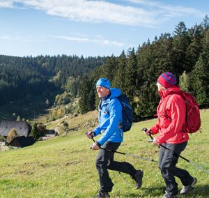 Schönwälder Heilklimaweg 1