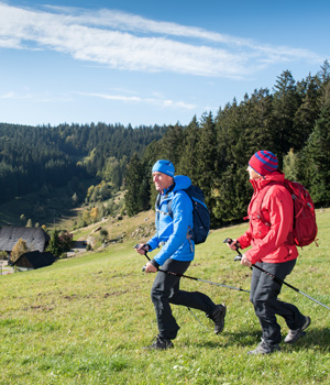 Schönwälder Heilklimaweg 1