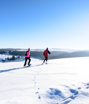 Winterwanderung Wo die Adler fliegen