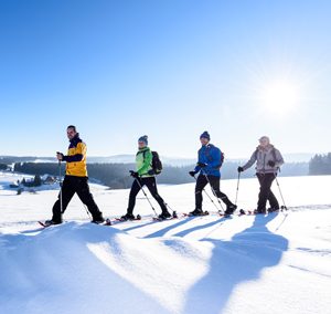 Winterwanderung über Zinswald und Katharinenhöhe