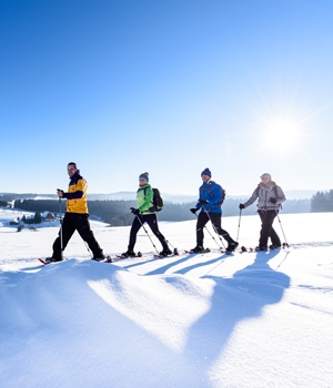 Winterwanderung über Zinswald und Katharinenhöhe