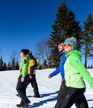 Winterwanderung über den Mühleberg