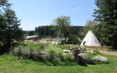 Bebauungsplanverfahren Waldcamp