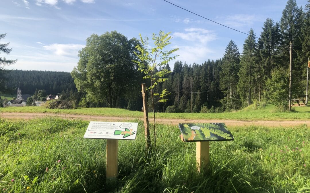 Schlaufuchspfad – mit Herr Springwald auf Entdeckungstour