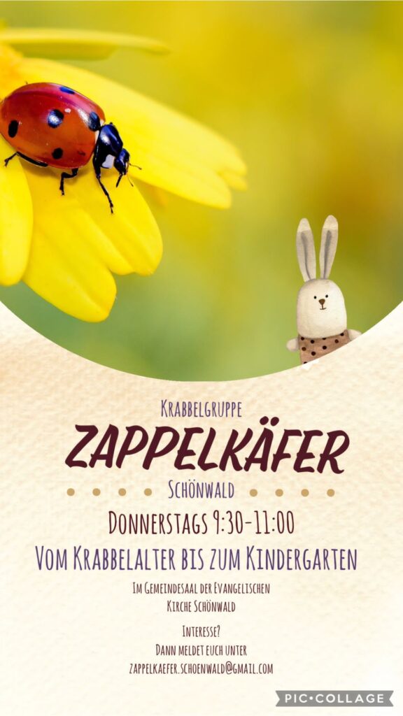 Flyer der Krabbelgruppe Zappelkäfer in Schönwald 